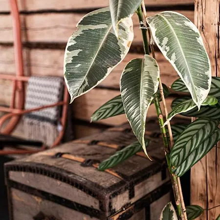 Apartamento Daj Spokój W Szczyrku Szczyrk