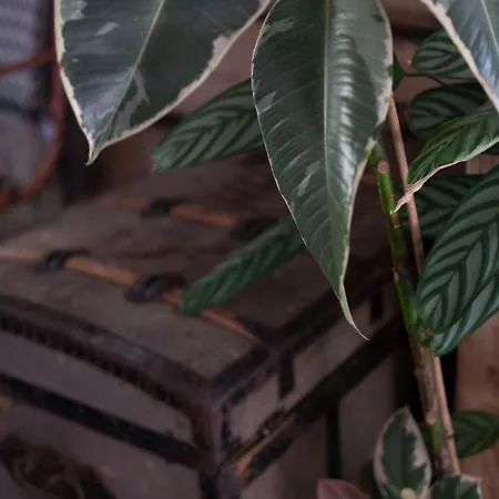 아파트 Daj Spokoj W Szczyrku *