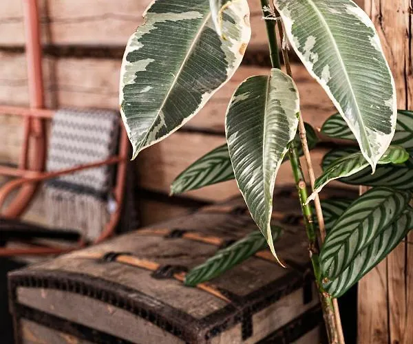 Apartment Daj Spokoj W Szczyrku Szczyrk