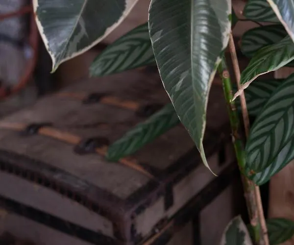 דירה Daj Spokoj W Szczyrku *