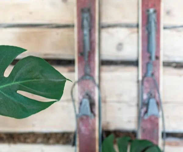 Daj Spokoj W Szczyrku Szczyrk